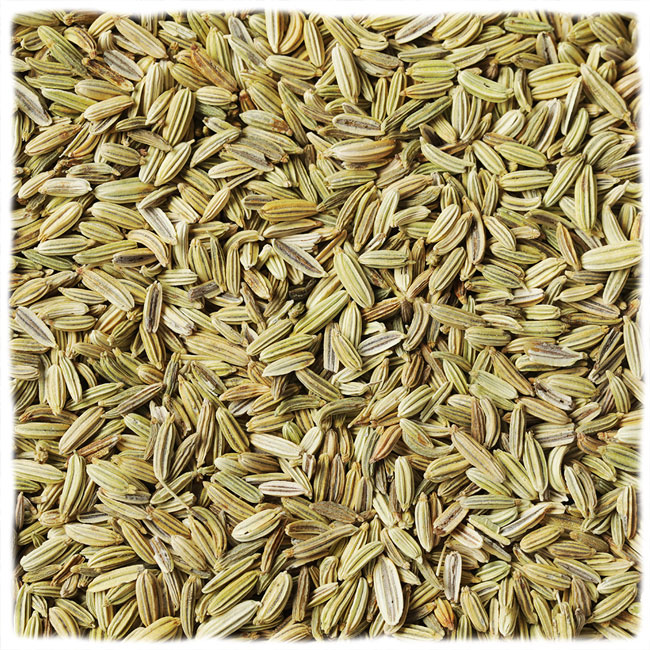 Frank + Paul fresh fennel losse thee